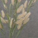 22&quot; VERBENA GRASS BUSH SOFT YELLOW