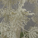 27&quot; HANGING FERN BUSH X4 PALE GREEN