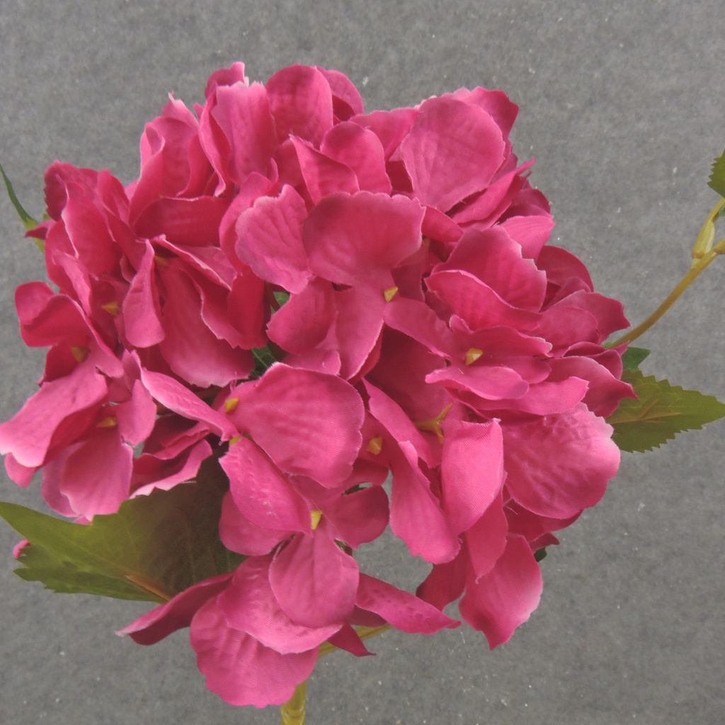 18" HYDRANGEA STEM BEAUTY