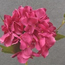 18" HYDRANGEA STEM BEAUTY