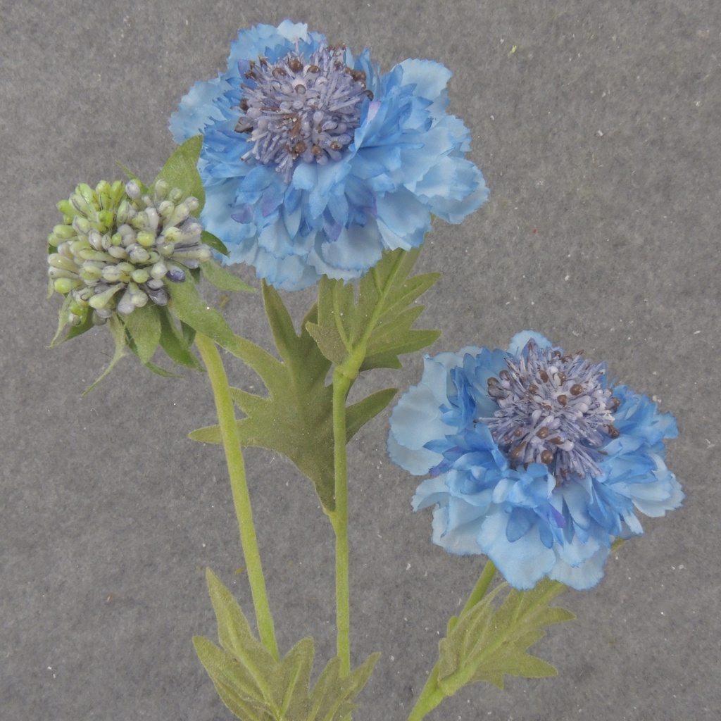 24" SEEDED CORNFLOWER STEM X3 BLUE