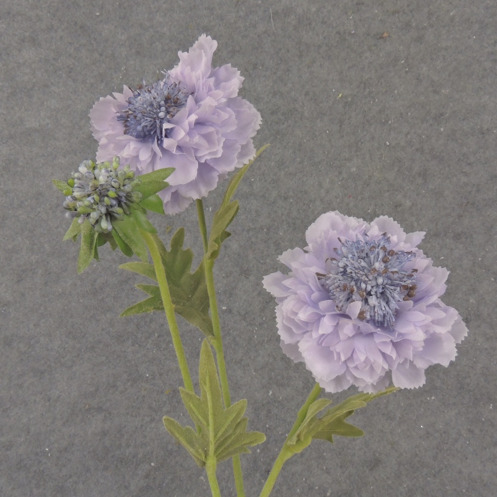 24" SEEDED CORNFLOWER STEM X3 LAVENDER