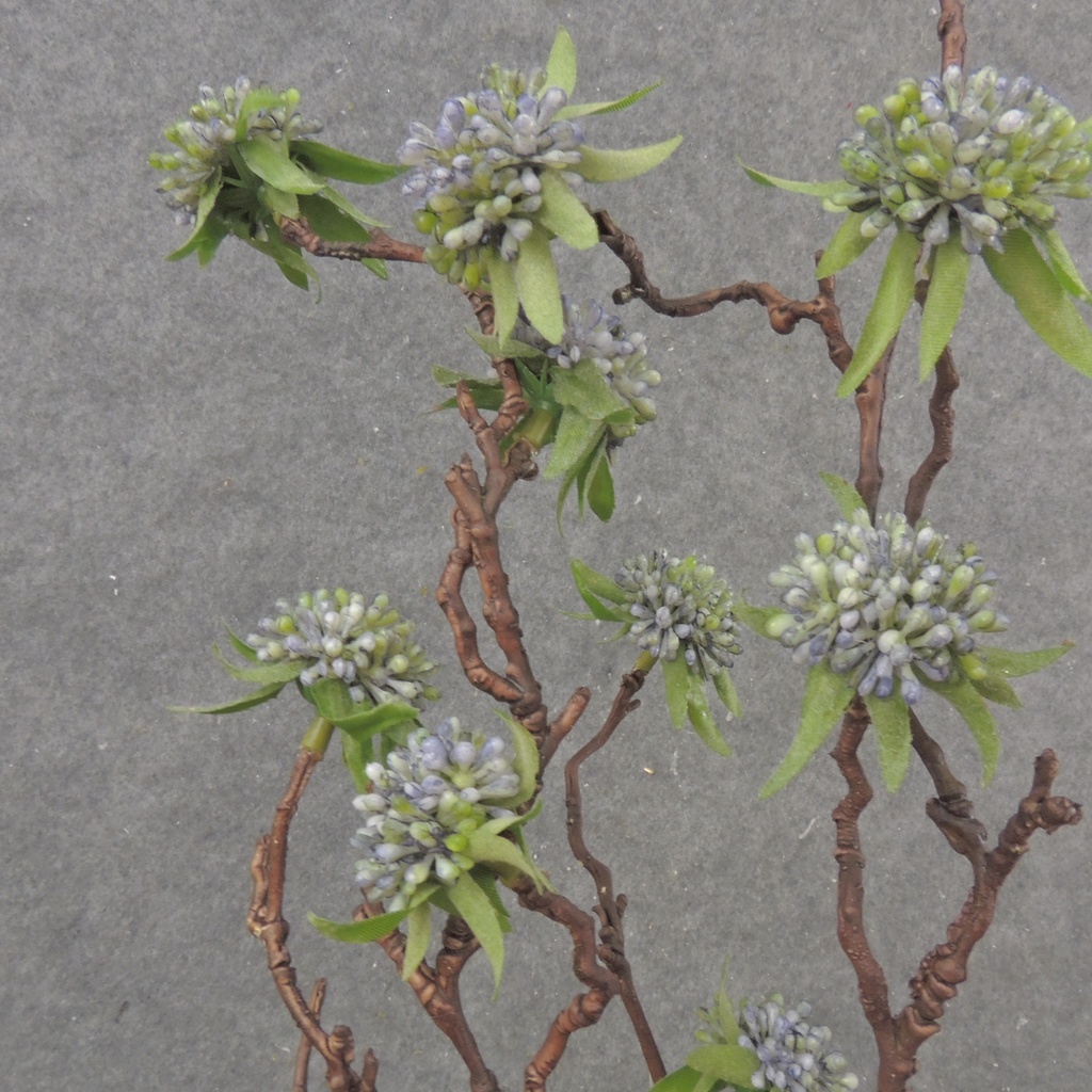 33&quot; TWIG SEDUM STEM BLUE/GREEN