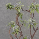 33&quot; TWIG SEDUM STEM BLUE/GREEN