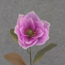 30&quot; MAGNOLIA STEM BEAUTY