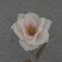 30&quot; MAGNOLIA STEM CREAM/PINK