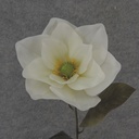 30" MAGNOLIA STEM CREAM/WHITE