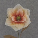 30" MAGNOLIA STEM PEACHY PINK