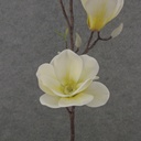 31&quot; MAGNOLIA STEM X2 CREAM
