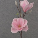 31" MAGNOLIA STEM X2 PINK