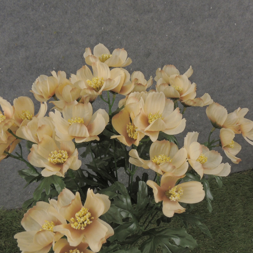 19" COSMOS BUSH X12 BEIGE