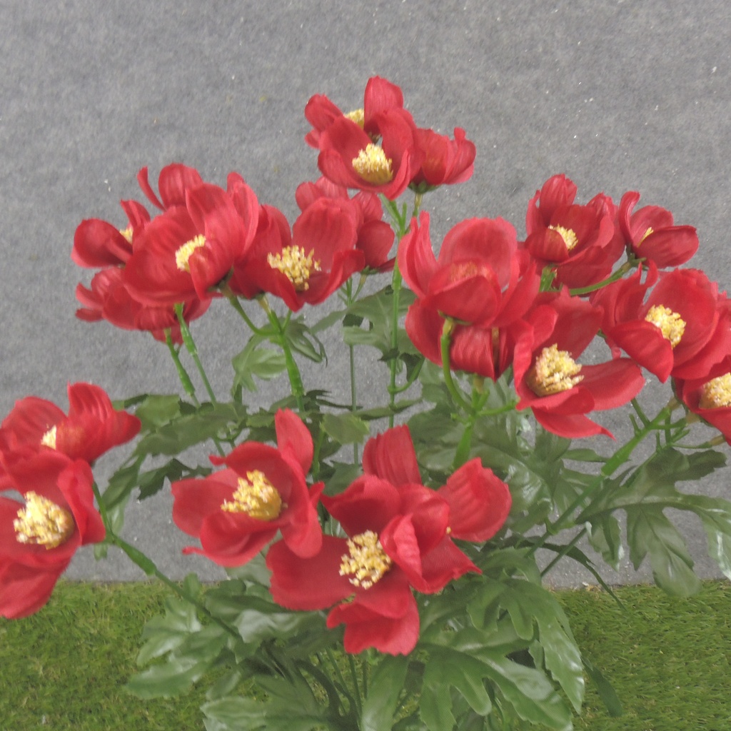 19" COSMOS BUSH X12 RED