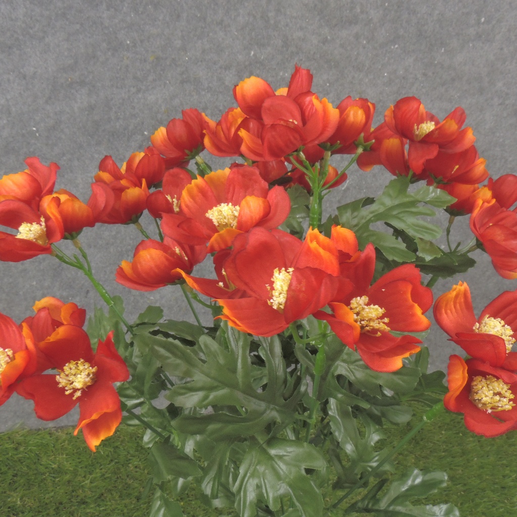 19" COSMOS BUSH X12 RED/ORANGE