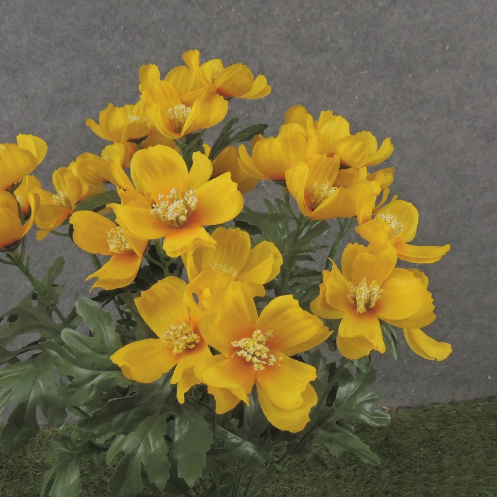 19" COSMOS BUSH X12 YELLOW