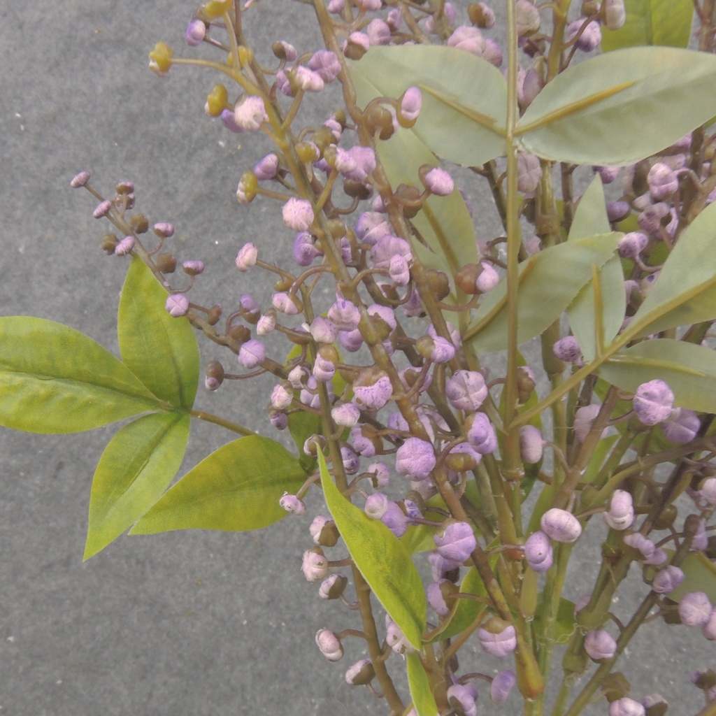 16" SEEDED STEM X3 PURPLE