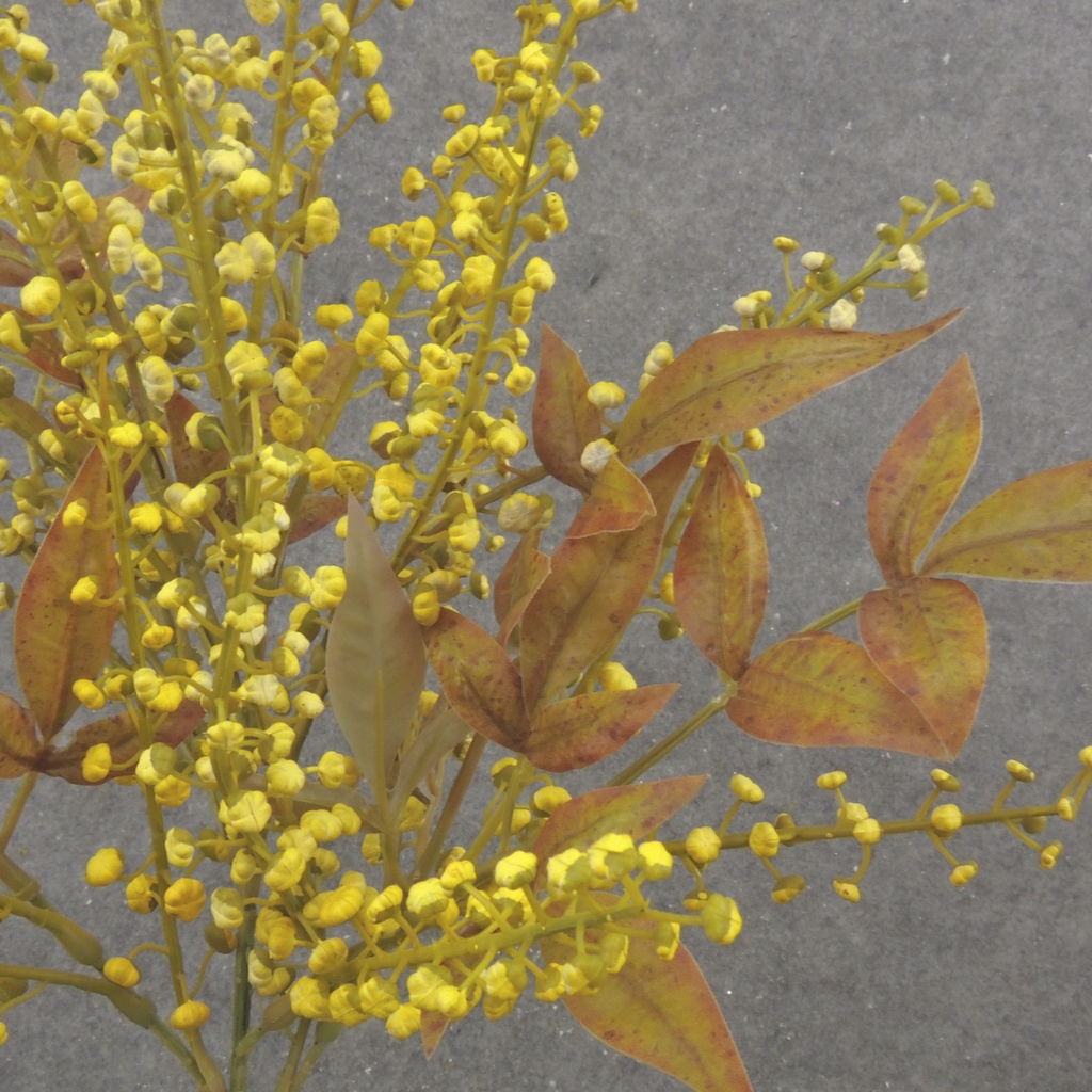 16" SEEDED STEM X3 YELLOW