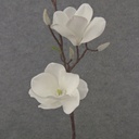 31" MAGNOLIA STEM X2 WHITE