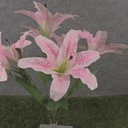 20&quot; LILY BUSH X7 PINK