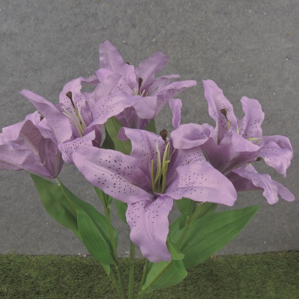 20" LILY BUSH X7 PURPLE