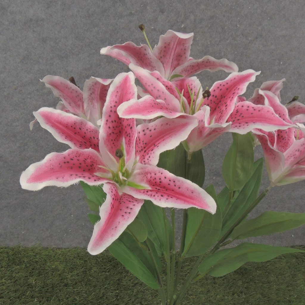 20" LILY BUSH X7 RUBRUM