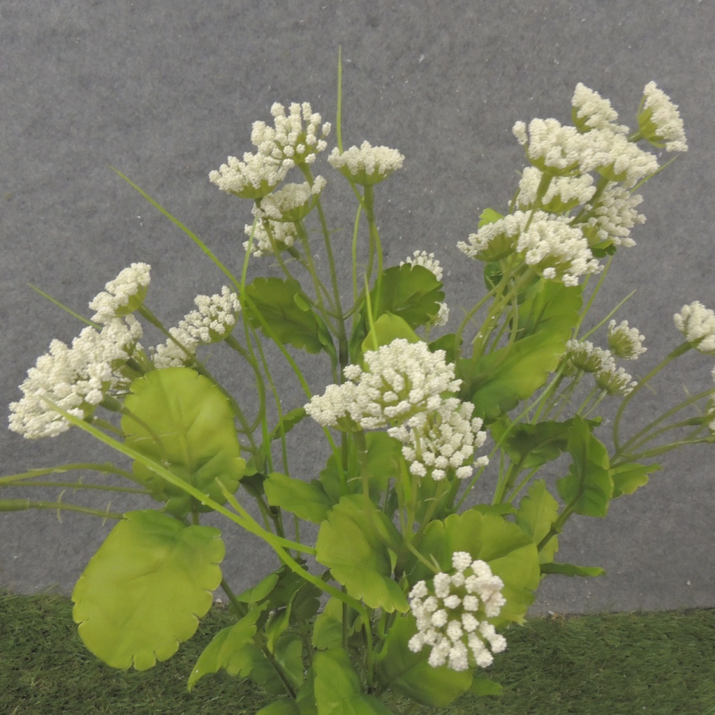 19&quot; MINI QUEEN ANNE'S LACE BUSH X10 CREAM