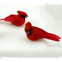 CARDINAL 3.75" MUSHROOM/FEATHER W/CLIP