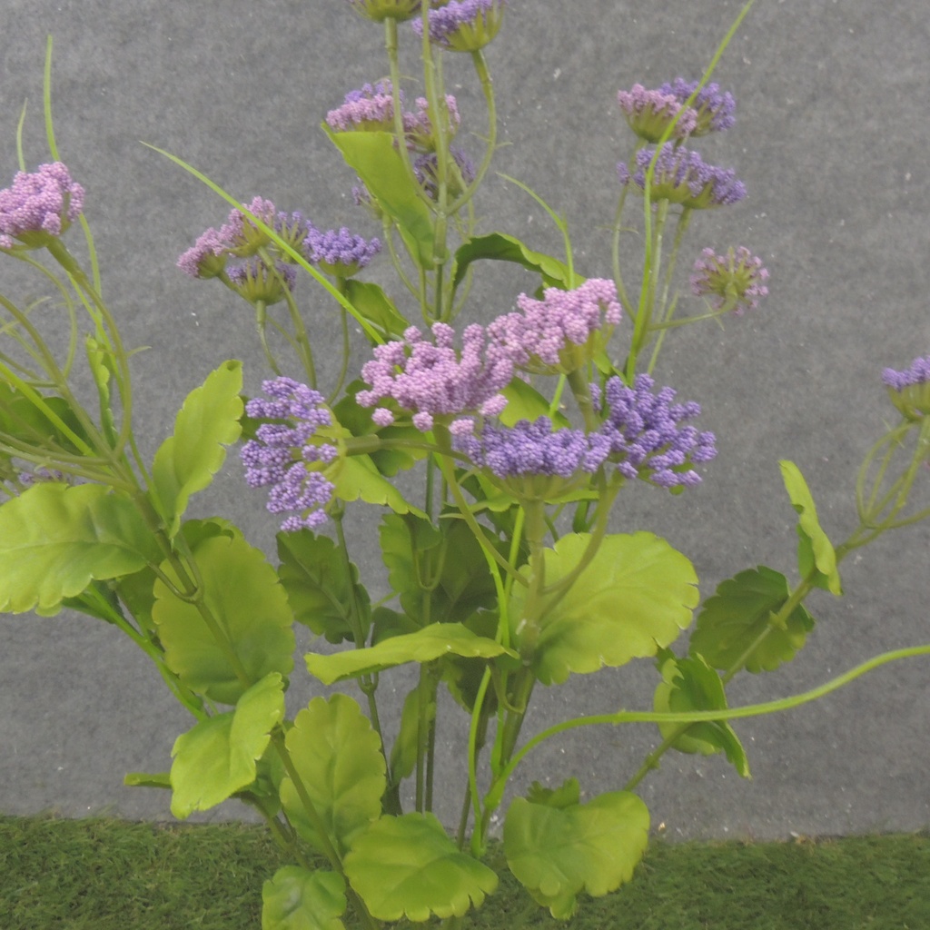 19" MINI QUEEN ANNE'S LACE BUSH X10 PURPLE