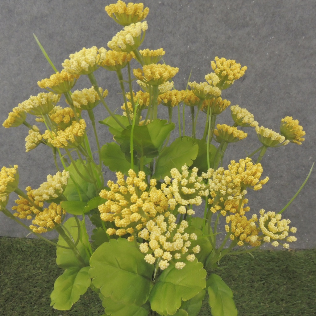 19" MINI QUEEN ANNE'S LACE BUSH X10 YELLOW