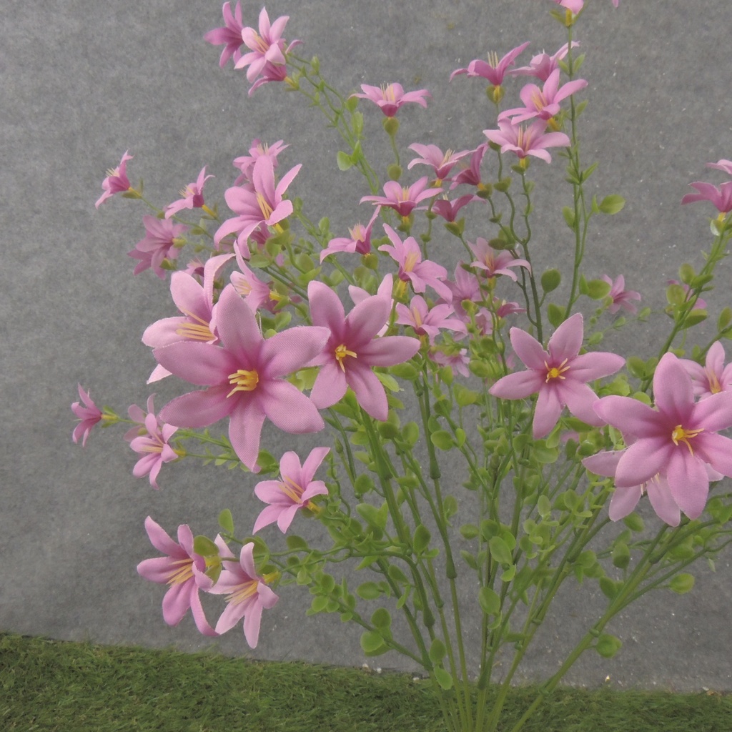 20" WAXFLOWER BUSH X10 MAUVE