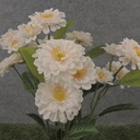 18" ZINNIA BUSH X5 CREAM