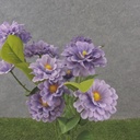 18&quot; ZINNIA BUSH X5 LAVENDER