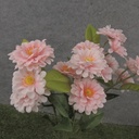 18" ZINNIA BUSH X5 PINK