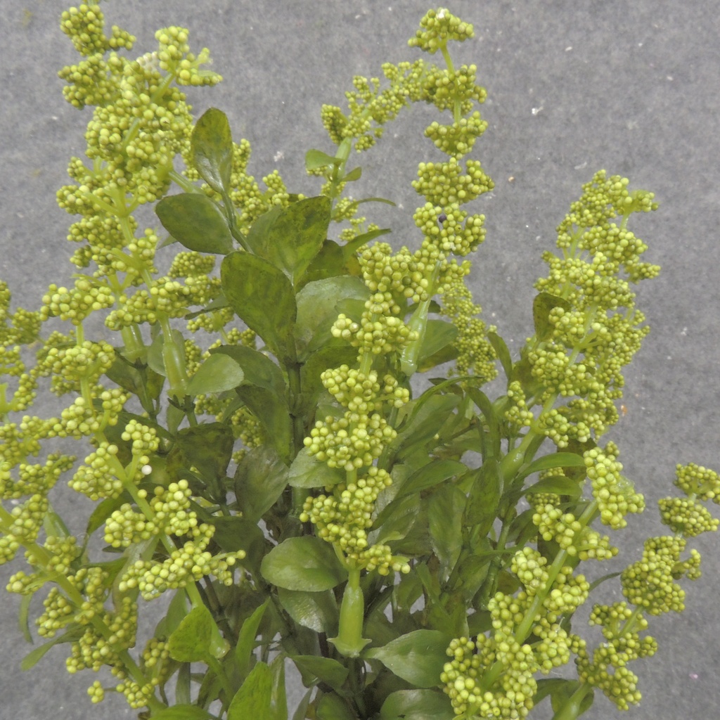 15&quot; HEATHER BUSH X5 GREEN