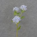 23.5" MINI SNOWBALL HYDRANGEA STEM X3 BLUE/LAVENDER