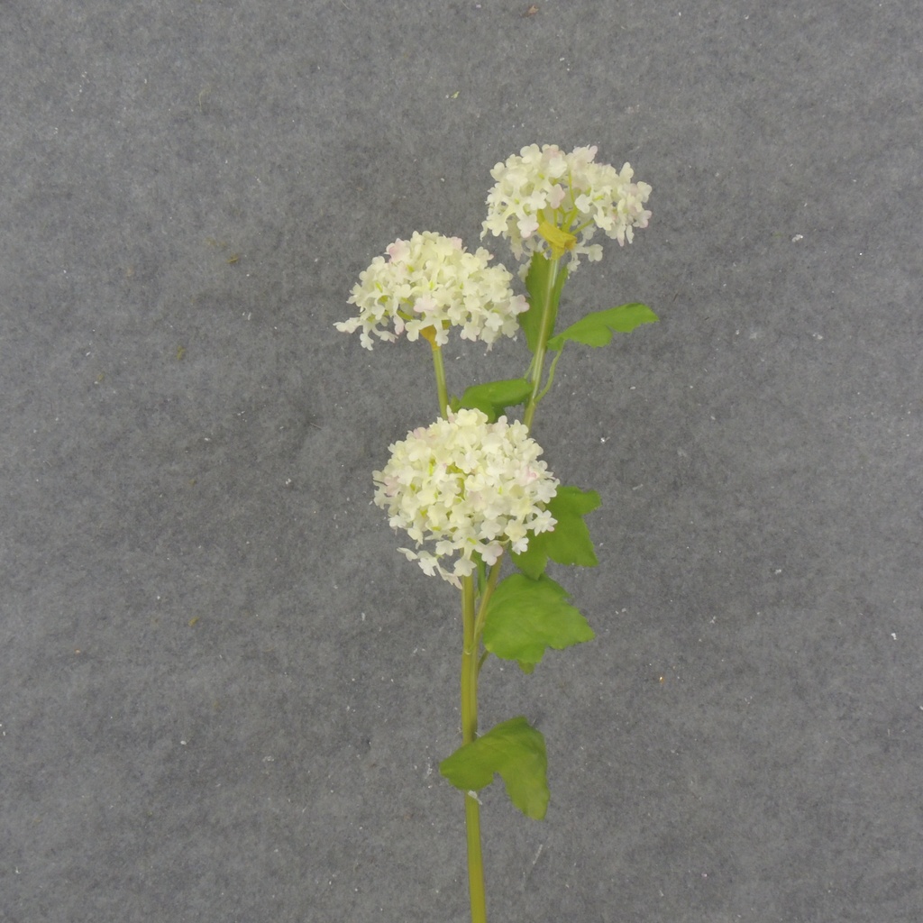 23.5&quot; MINI SNOWBALL HYDRANGEA STEM X3 CREAM