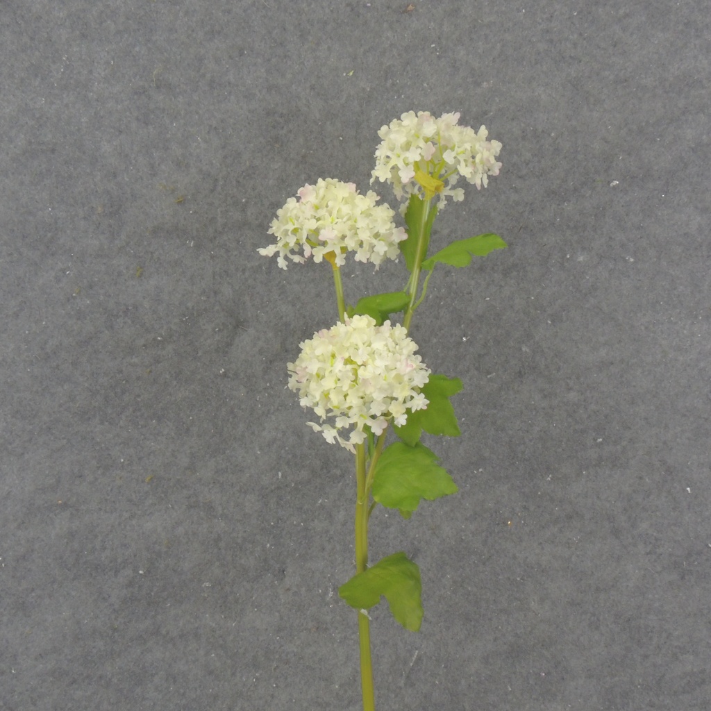 23.5" MINI SNOWBALL HYDRANGEA STEM X3 CREAM