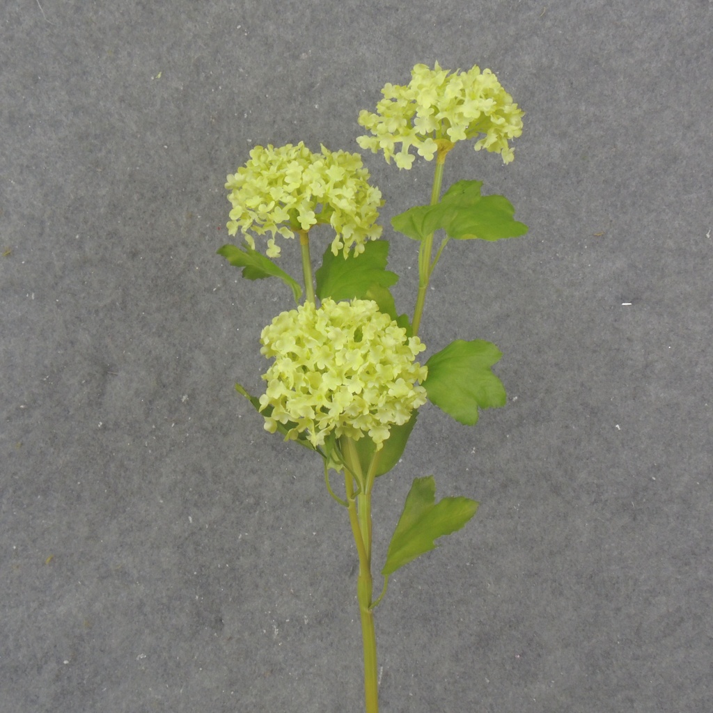 23.5" MINI SNOWBALL HYDRANGEA STEM X3 GREEN