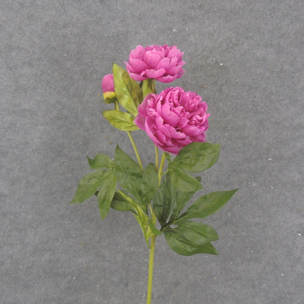 28.5" PEONY STEM X2 FUCHSIA