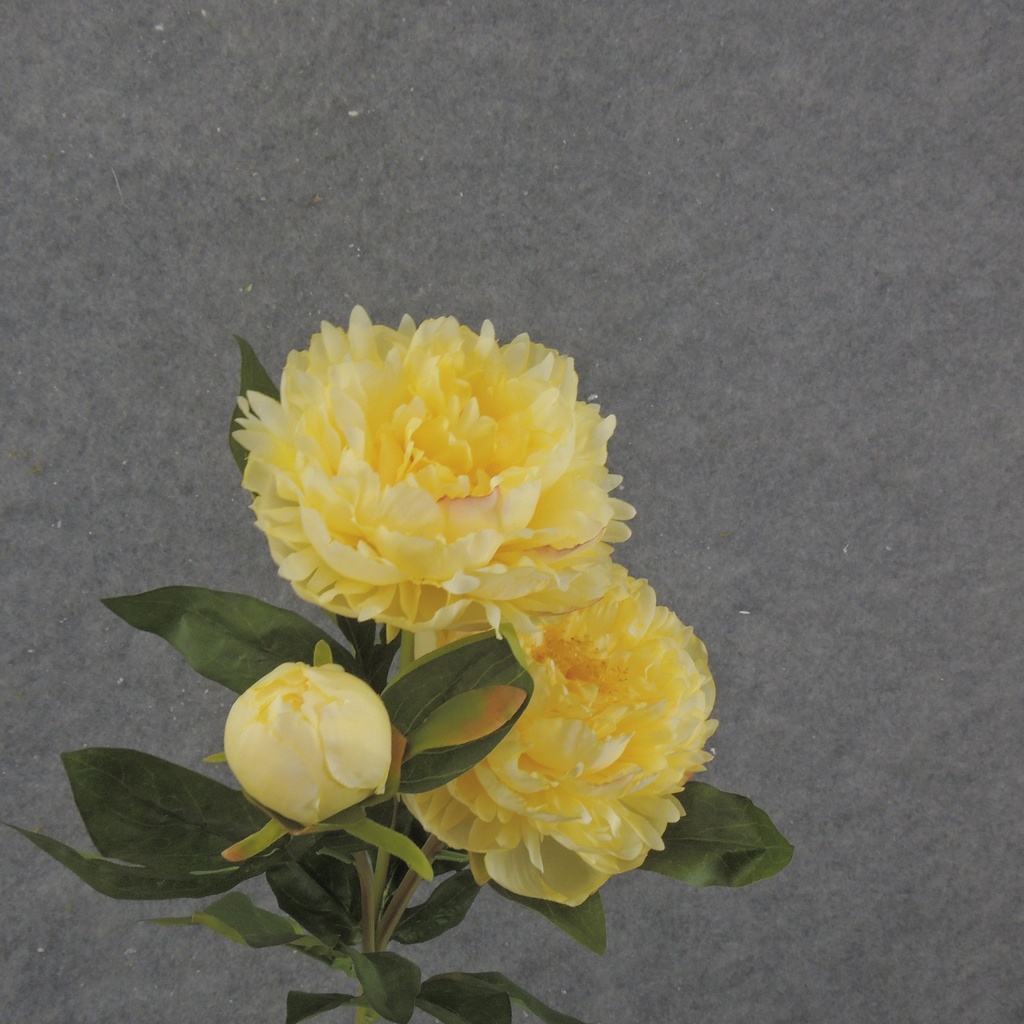28.5&quot; PEONY STEM X2 LIGHT YELLOW