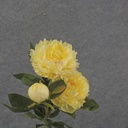 28.5&quot; PEONY STEM X2 LIGHT YELLOW