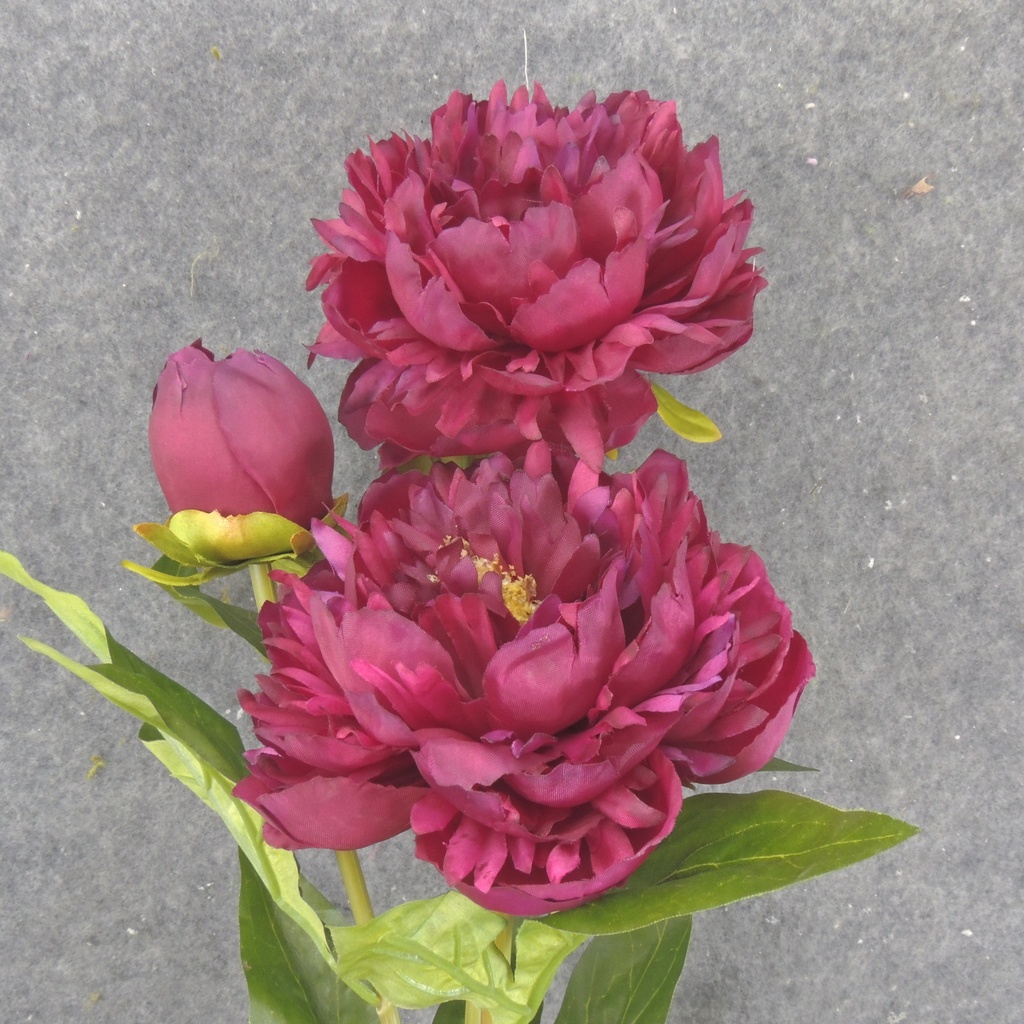 28.5" PEONY STEM X2 BURGUNDY/WINE