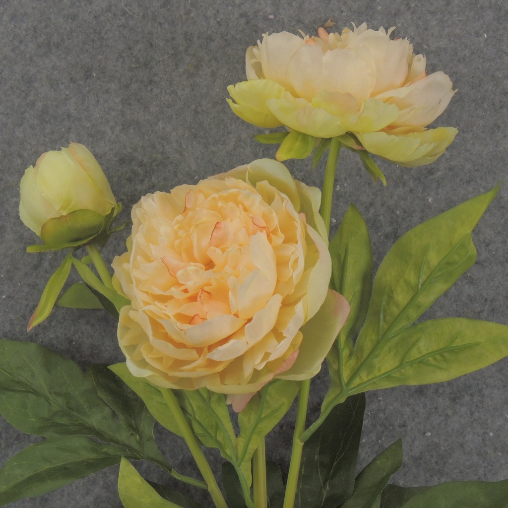 28.5" PEONY STEM X2 YELLOW/PEACH