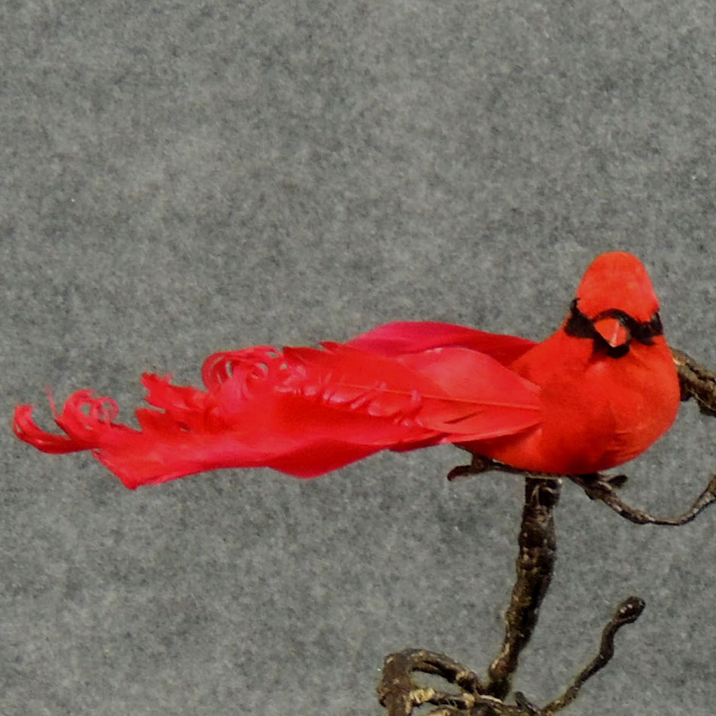 CARDINAL 6.25" MUSHROOM/FEATHER W/CLIP