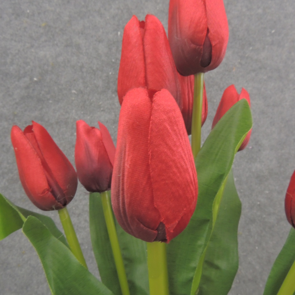 16" TULIP BUSH X9 RED