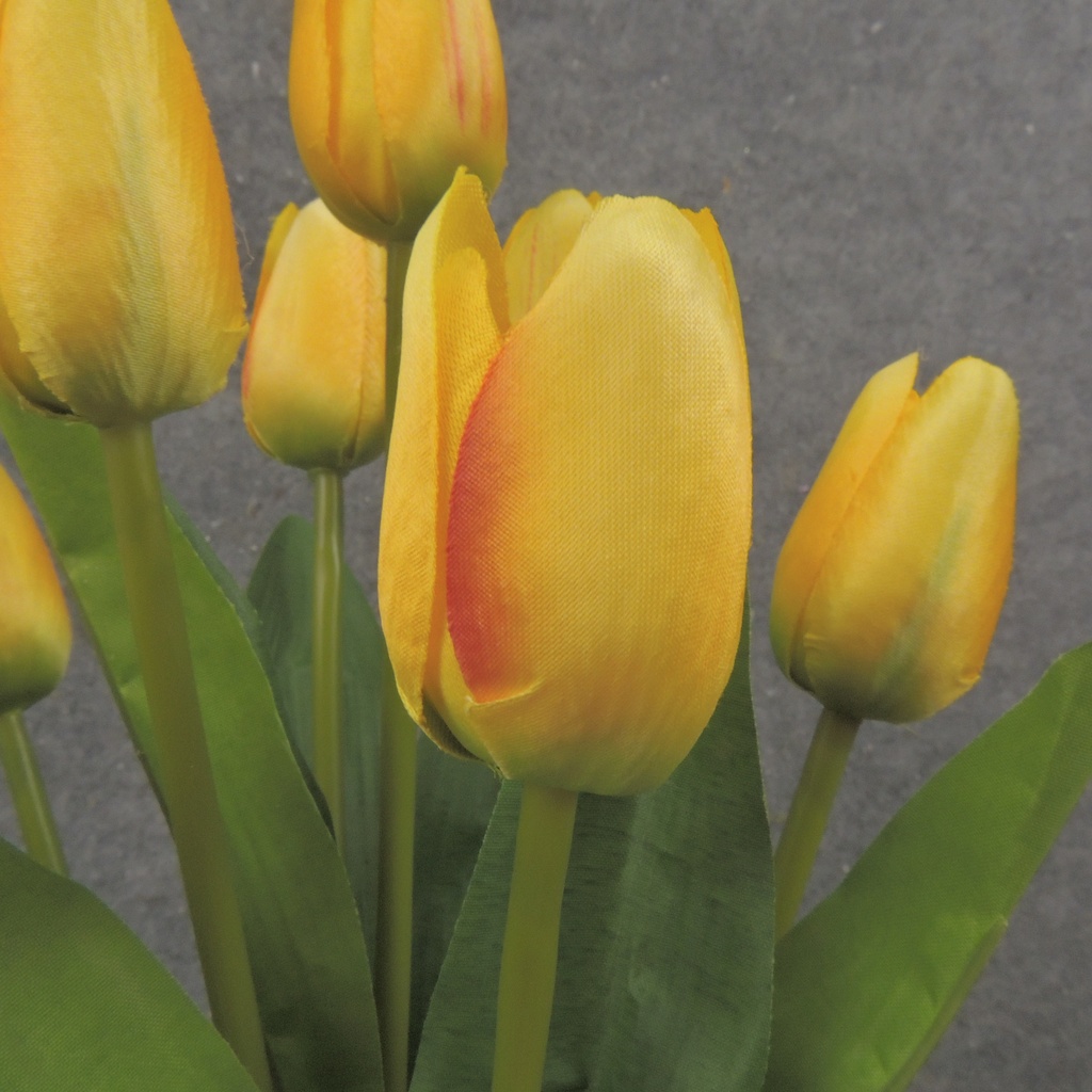 16" TULIP BUSH X9 YELLOW