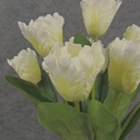 17" PARROT TULIP BUSH X9 CREAM