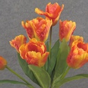 17&quot; PARROT TULIP BUSH X9 ORANGE/YELLOW