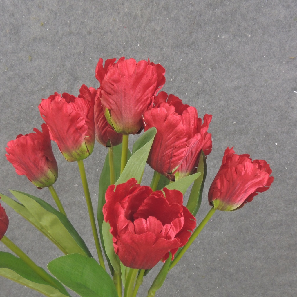 17" PARROT TULIP BUSH X9 RED