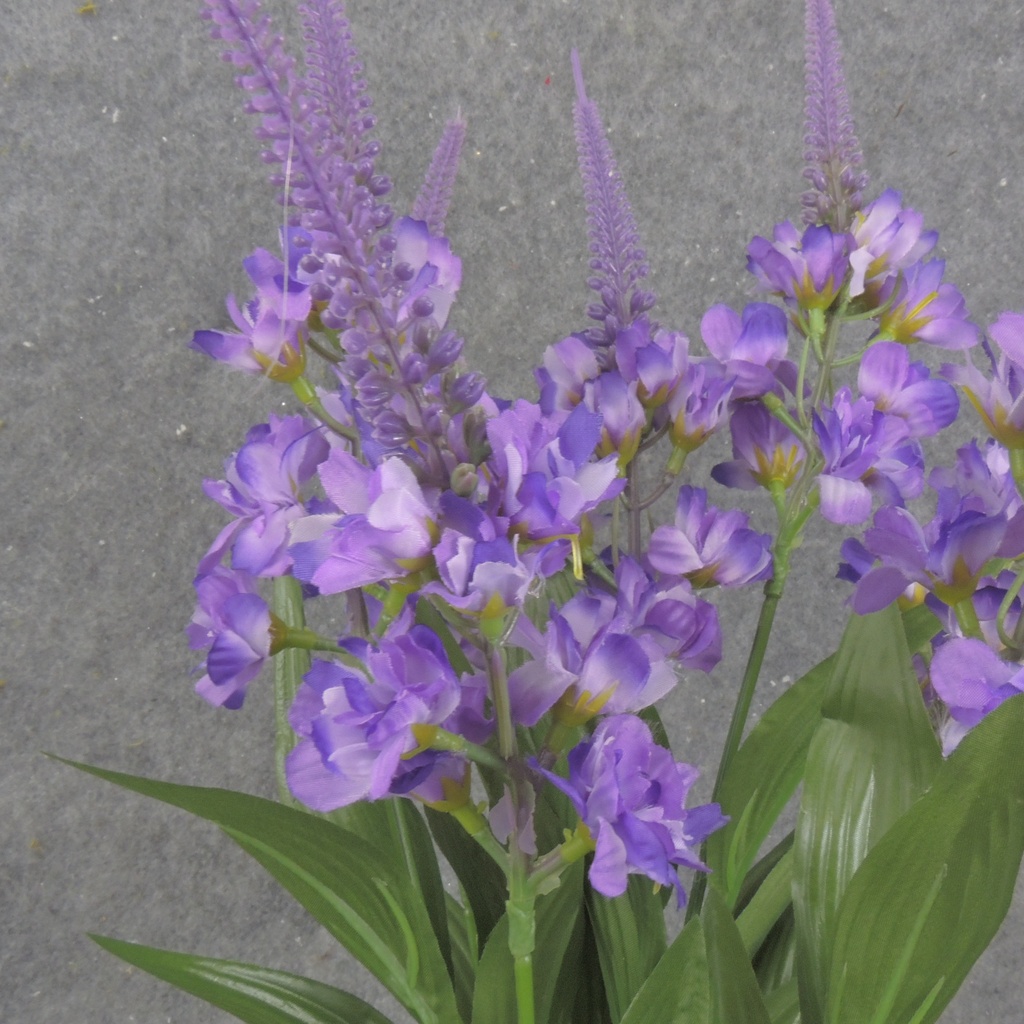 20" SPIKE FLOWER BUSH X7 PURPLE/WHITE