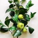 35" APPLE & LEAF SPRAY GREEN